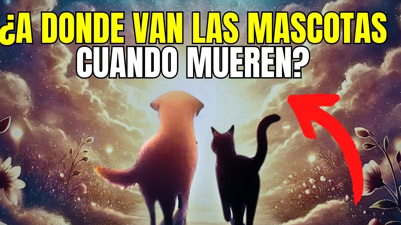 a donde van los perros cuando mueren según la biblia