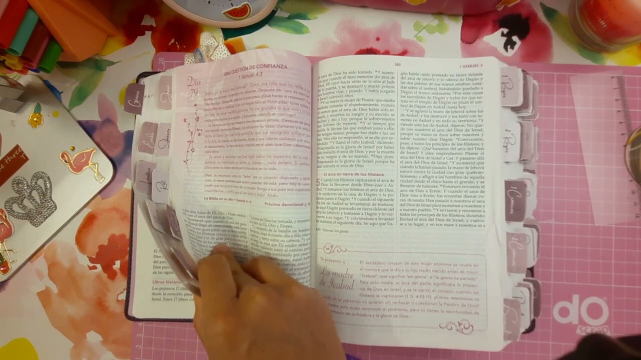 biblia conforme al corazon de dios