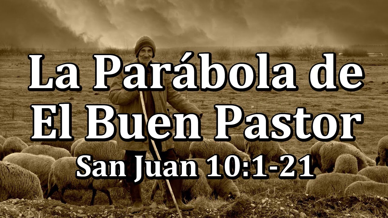 juan 10 1 21 el buen pastor reflexion