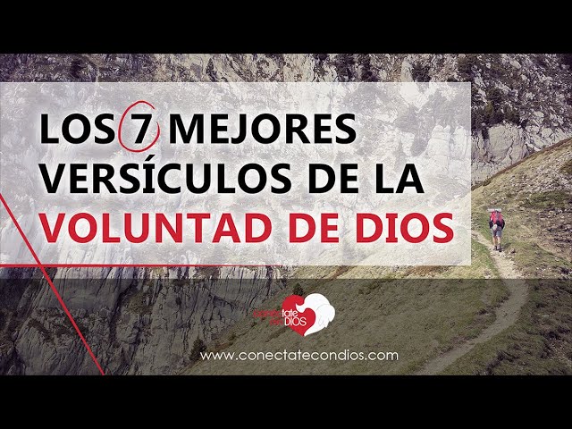 nada pasa si no es la voluntad de dios versículo