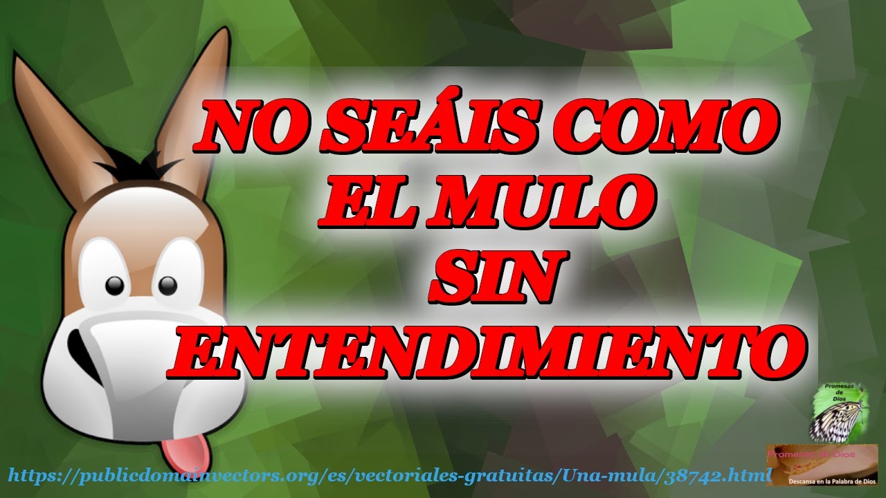 no seais como el caballo o el mulo sin entendimiento