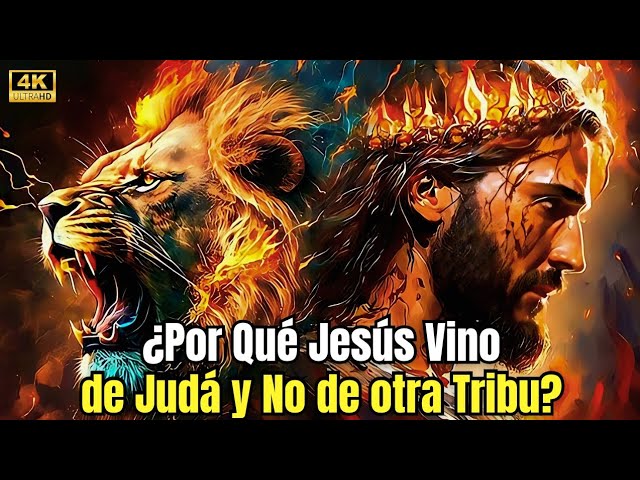 porque dios escogio la tribu de juda