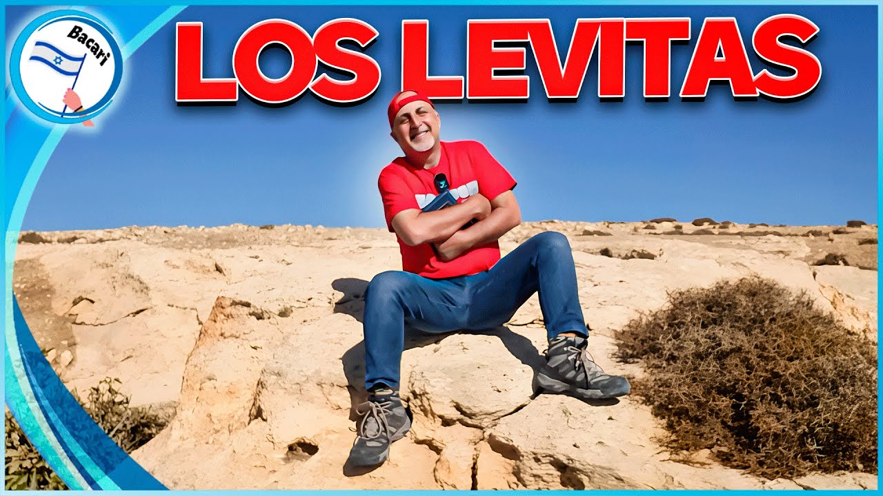 porque los levitas fueron escogidos por dios