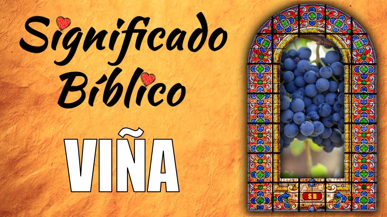 que es una viña en la biblia
