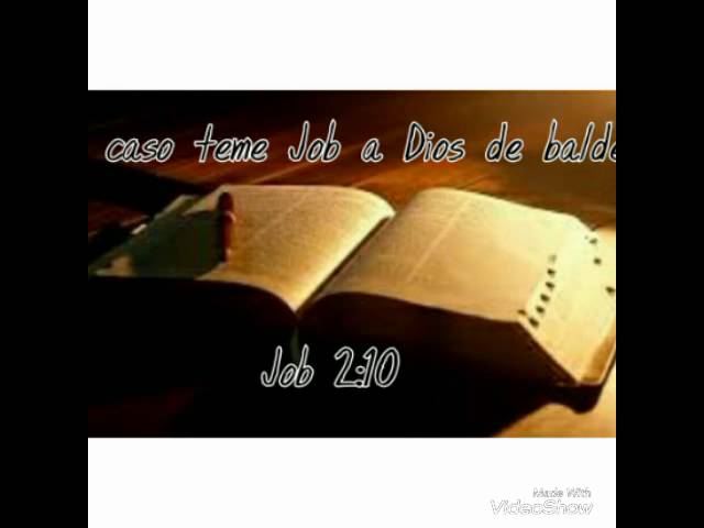 que significa balde en la biblia