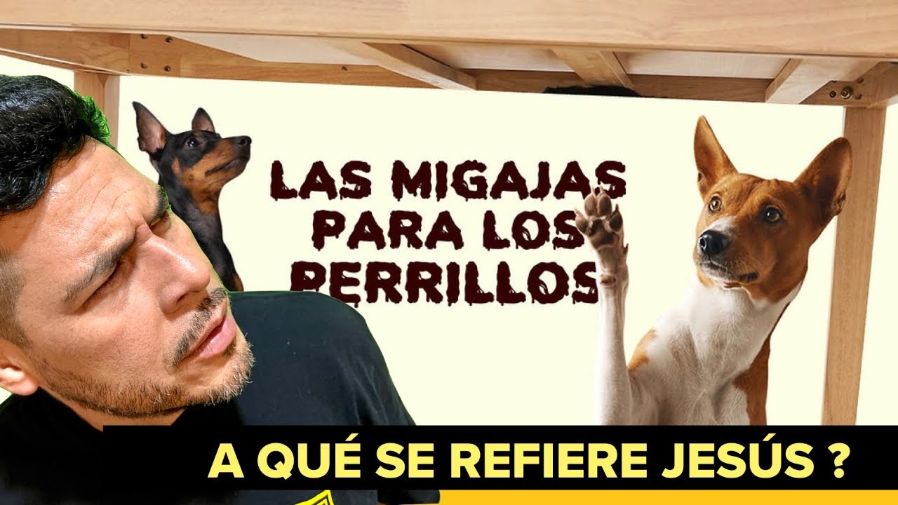 que significa la palabra perrillos en la biblia