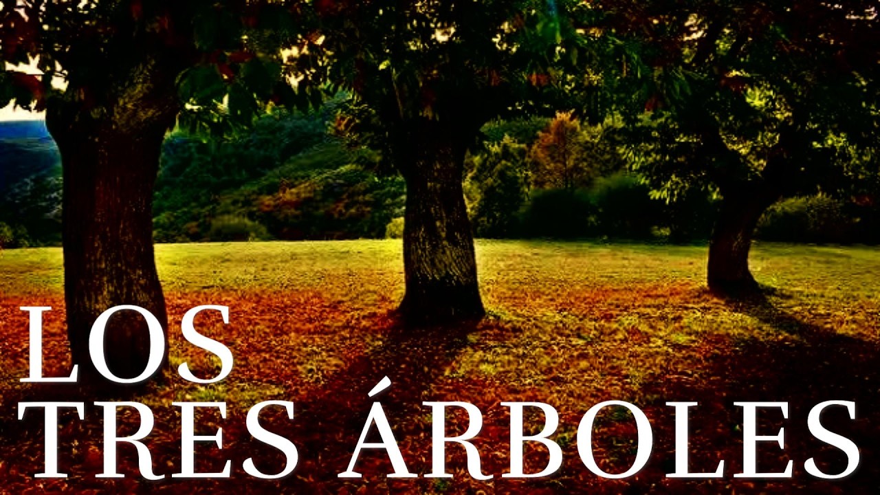 reflexion del arbol de la vida