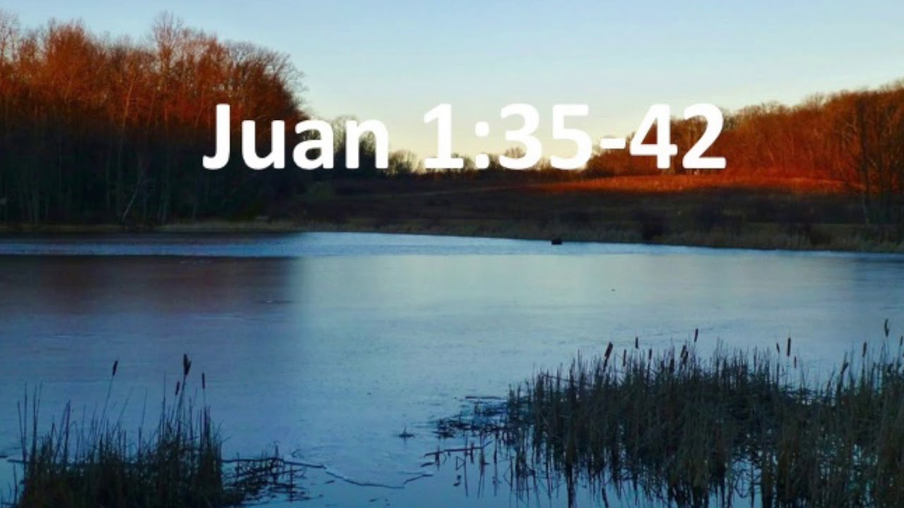 reflexion del evangelio juan 1 35 39
