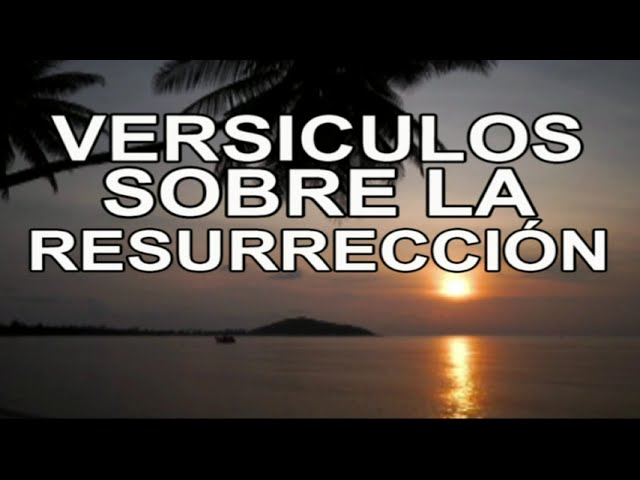 versiculos dela biblia de la resurrección
