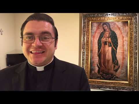 yo soy la vid y ustedes los sarmientos