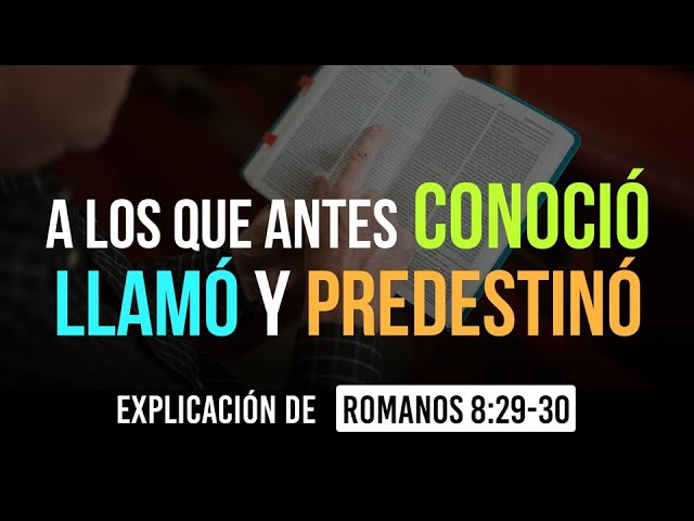 a los que llamo a estos tambien predestino