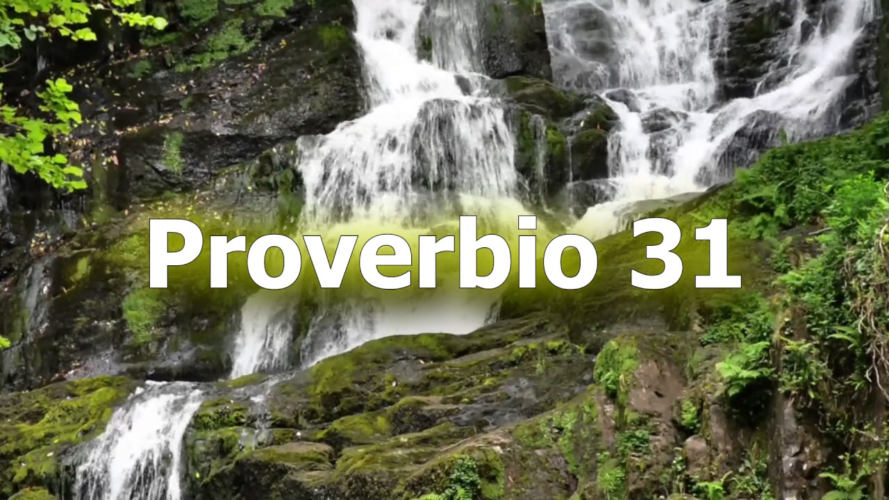 beban y olvidense de sus penas