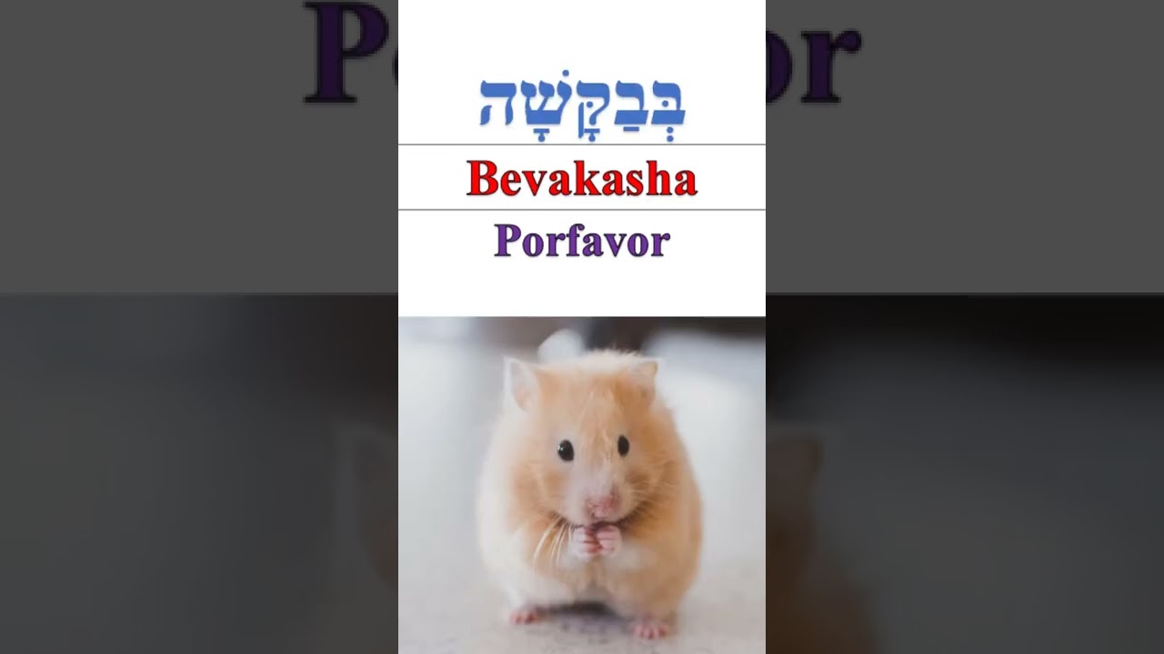 como se dice gracias en judio