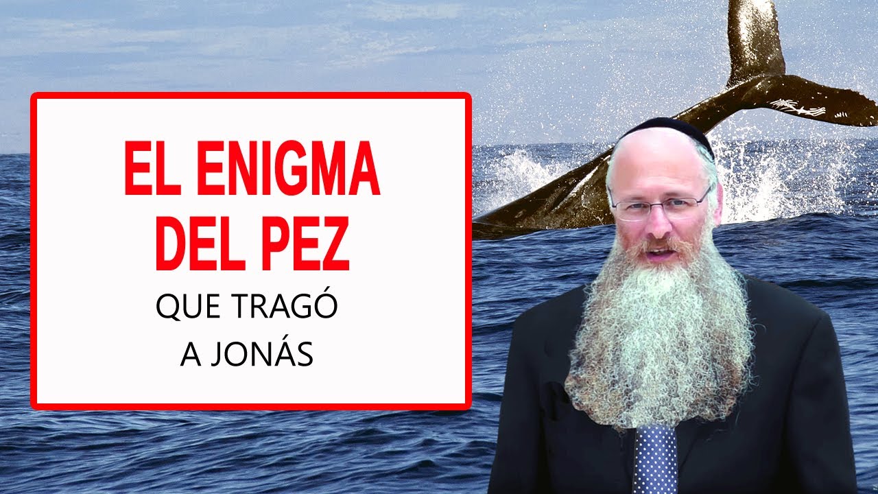 cuántos días estuvo jonas en el vientre del pez