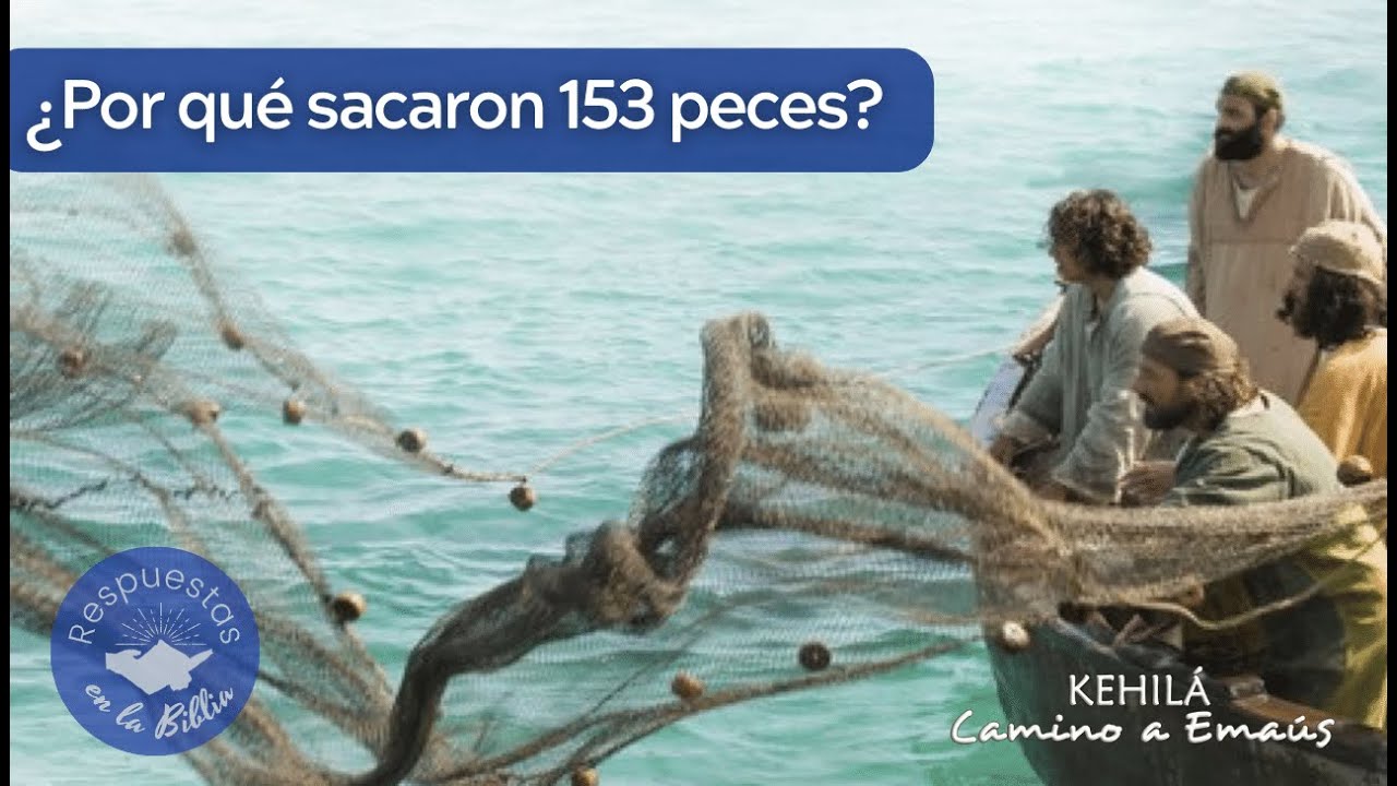 cuantos peces pescaron en la pesca milagrosa