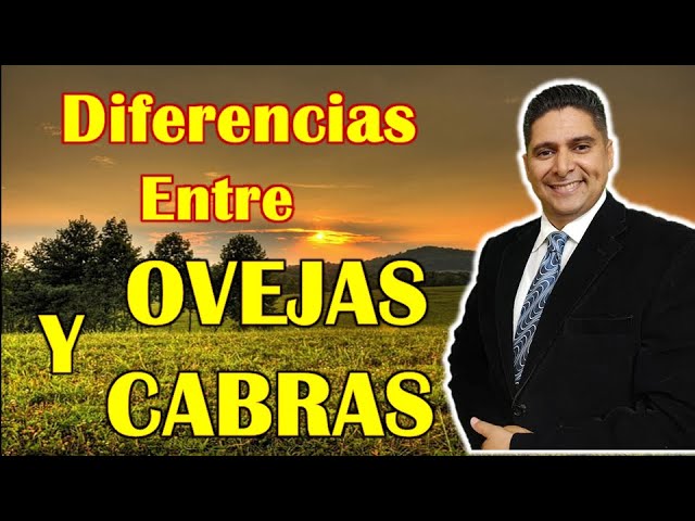 diferencia entre cabra y oveja biblicamente