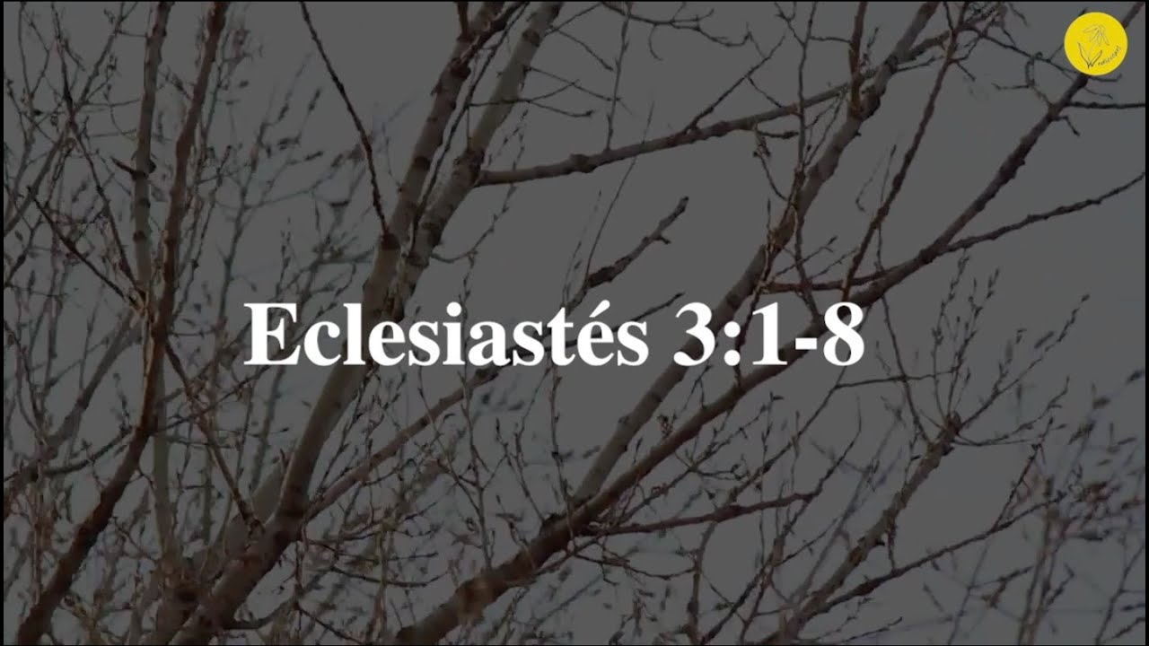 eclesiastés 3 1 8 todo tiene su tiempo reflexion