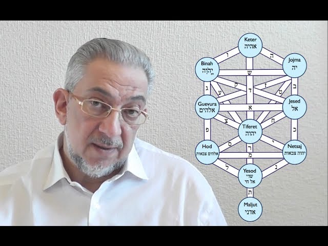 el nuevo arbol de la vida