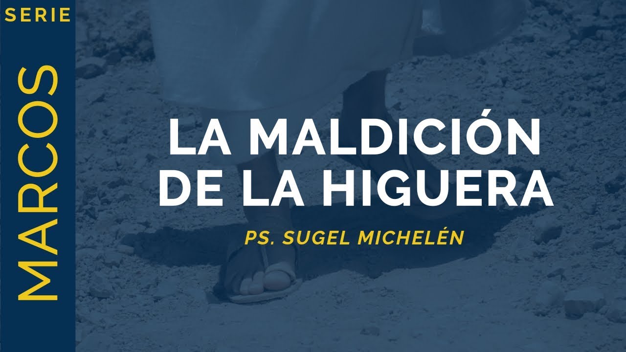 estudio biblico marcos 11 12 19