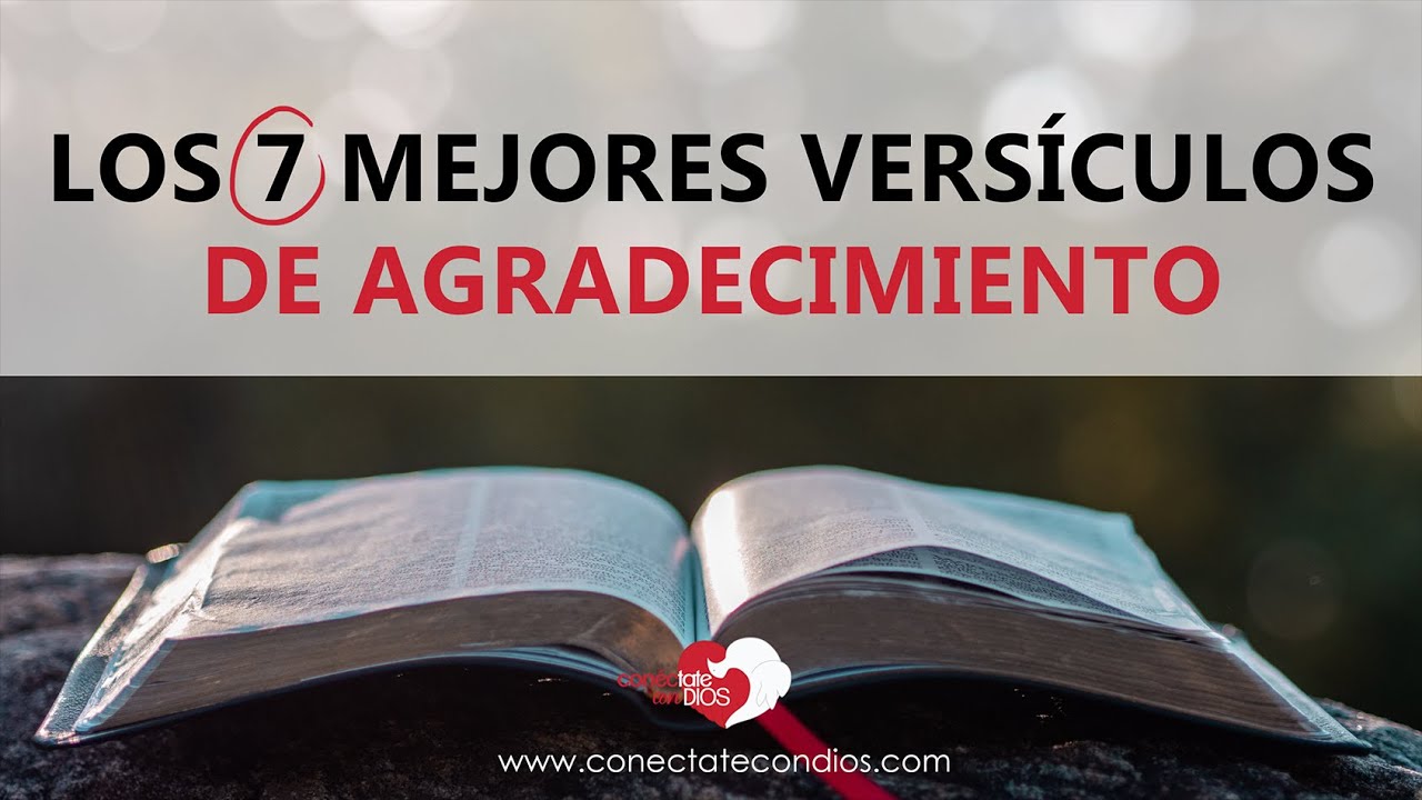 gracia y favor de dios versiculos