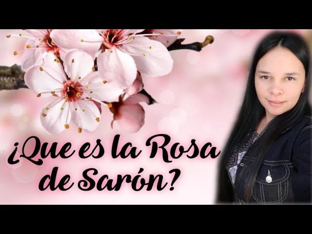 la rosa de saron significado biblico