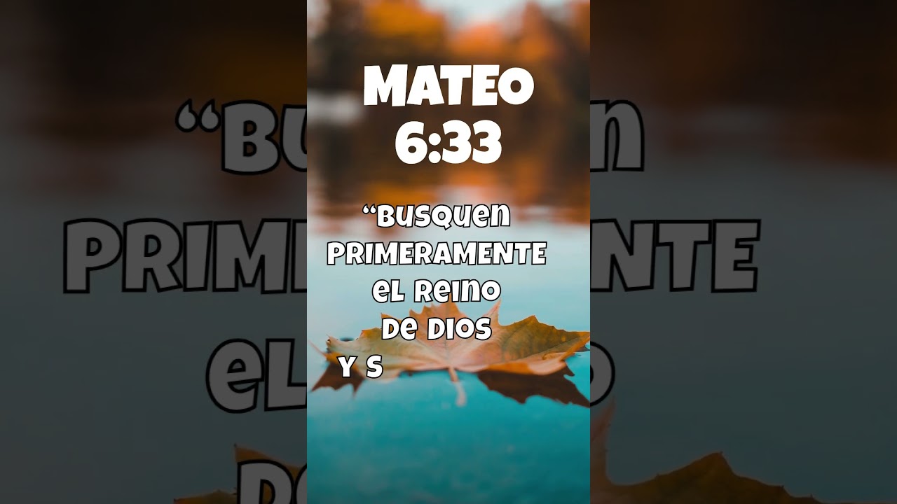 mateo 6 25 33 biblia catolica
