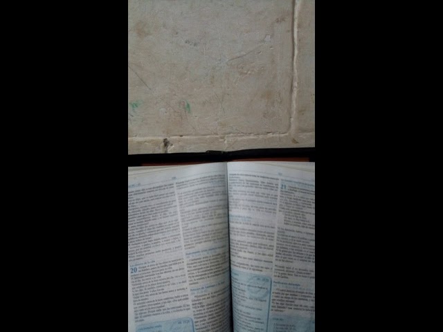 que es remitir en la biblia