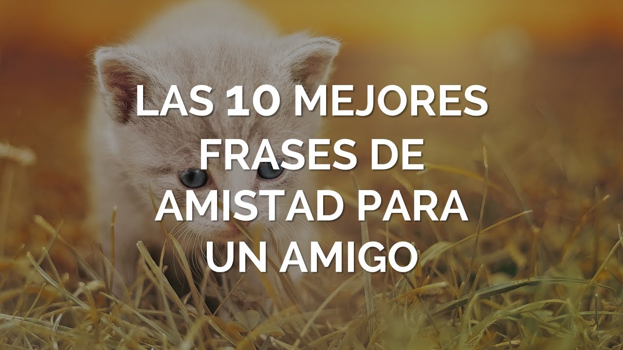 frases de amistad cristianas para mis amigos
